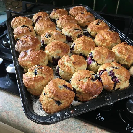 Coastline House Oda ve Kahvaltı 4*